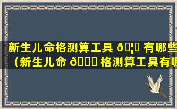 新生儿命格测算工具 🦟 有哪些（新生儿命 💐 格测算工具有哪些内容）